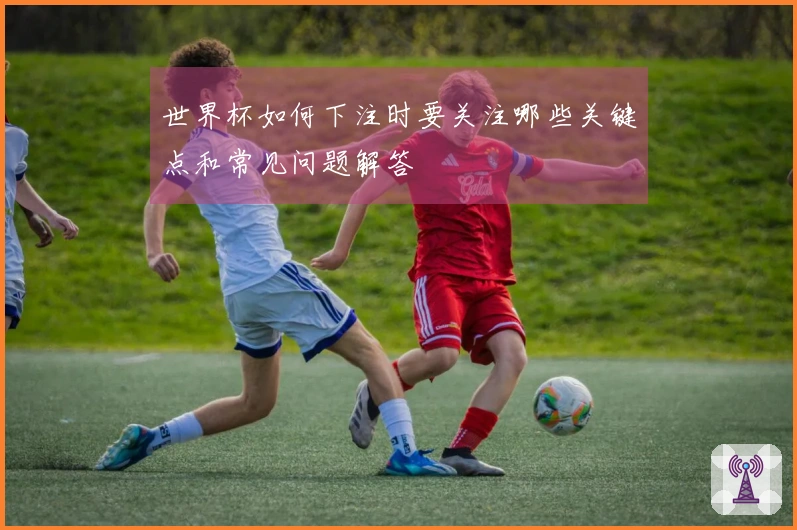 世界杯如何下注时要关注哪些关键点和常见问题解答