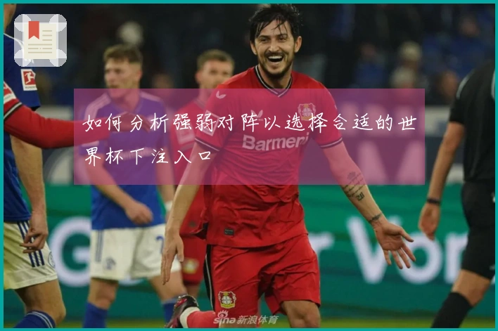 如何分析强弱对阵以选择合适的世界杯下注入口