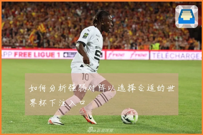 如何分析强弱对阵以选择合适的世界杯下注入口