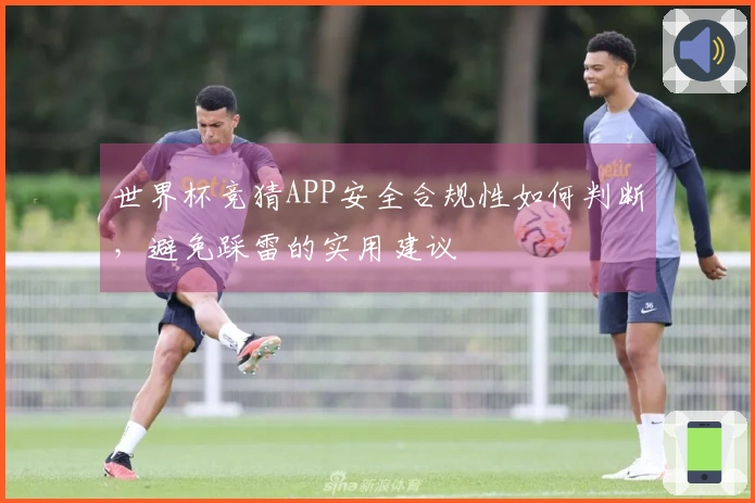 世界杯竞猜APP安全合规性如何判断，避免踩雷的实用建议