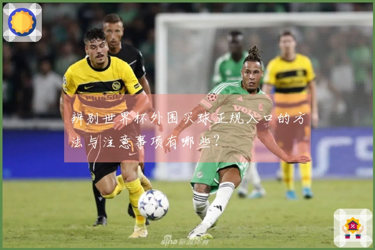辨别世界杯外围买球正规入口的方法与注意事项有哪些？