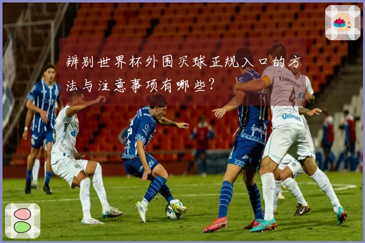 辨别世界杯外围买球正规入口的方法与注意事项有哪些？