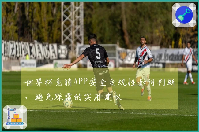 世界杯竞猜APP安全合规性如何判断，避免踩雷的实用建议