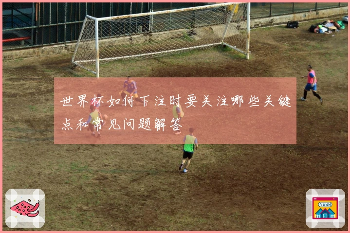 世界杯如何下注时要关注哪些关键点和常见问题解答